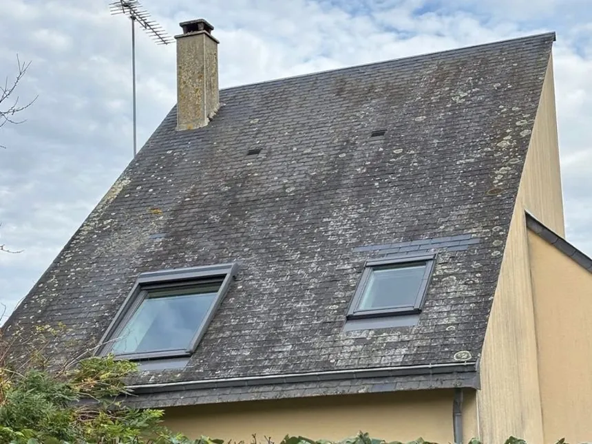 Toiture avant démoussage
