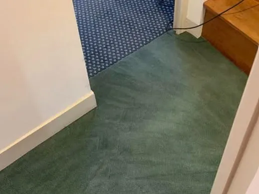 Moquette après nettoyage