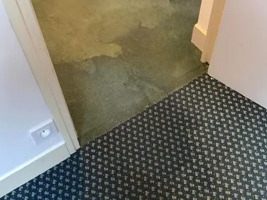 Moquette avant nettoyage